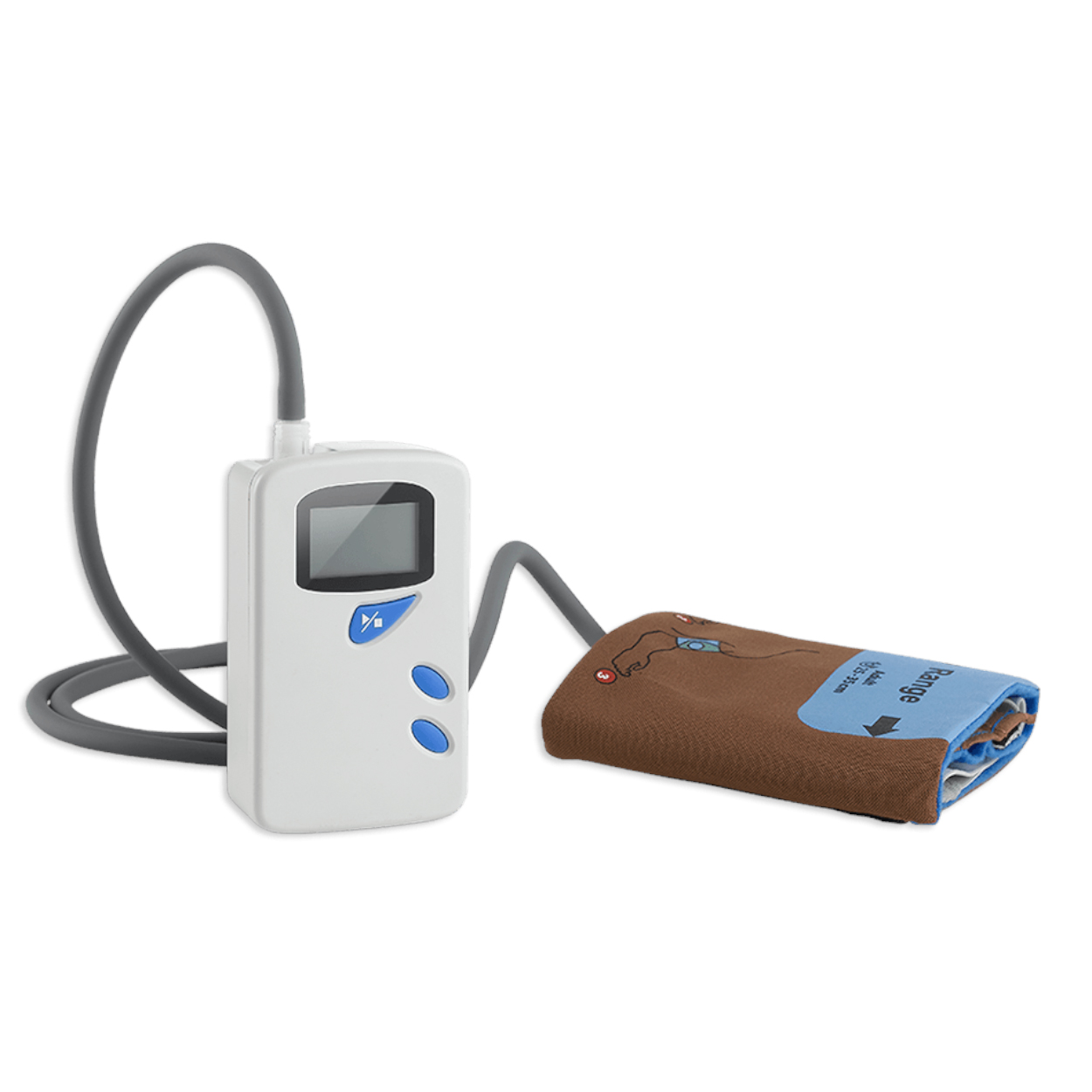 Borsam ECHO Tansiyon Holter Cihazı 